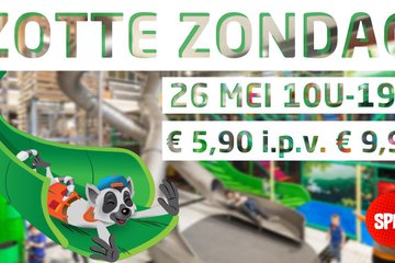 zottezondag.jpg